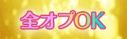全オプOK